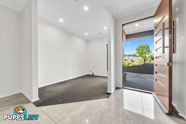 12 Dolcetto Drive BERWICK VIC 3806