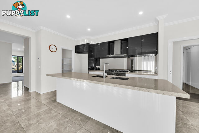 12 Dolcetto Drive BERWICK VIC 3806