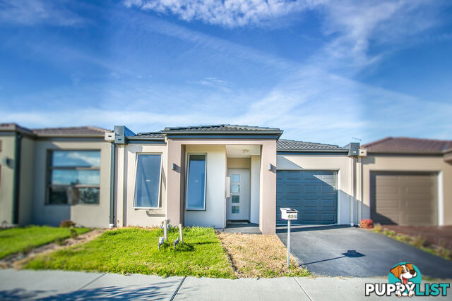 49A Wilkiea Cr CRANBOURNE NORTH VIC 3977