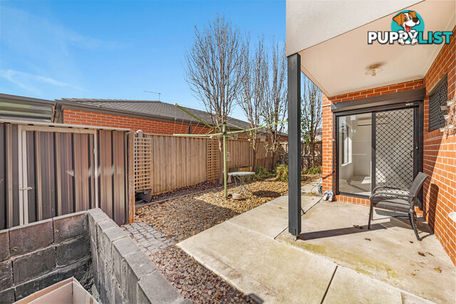 61 Morningside Boulevard CRANBOURNE WEST VIC 3977