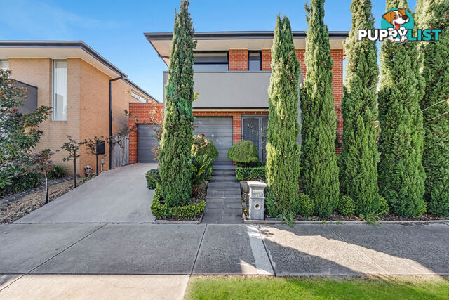 61 Morningside Boulevard CRANBOURNE WEST VIC 3977