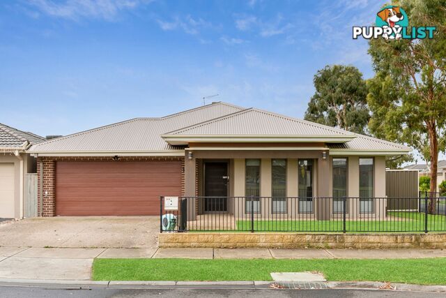 164 Alisma Boulevard CRANBOURNE NORTH VIC 3977