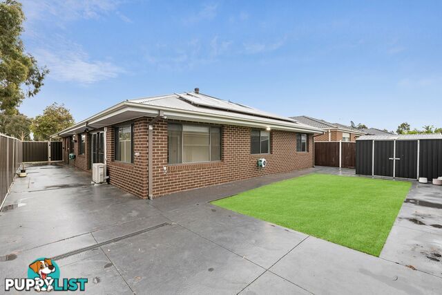 164 Alisma Boulevard CRANBOURNE NORTH VIC 3977