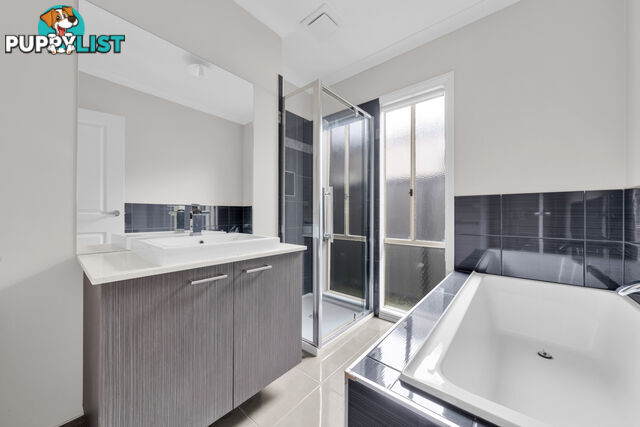 36 Wilkiea Crescent CRANBOURNE NORTH VIC 3977