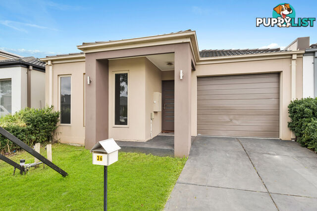 36 Wilkiea Crescent CRANBOURNE NORTH VIC 3977
