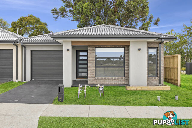 6 Jessfield Terrace CRANBOURNE EAST VIC 3977