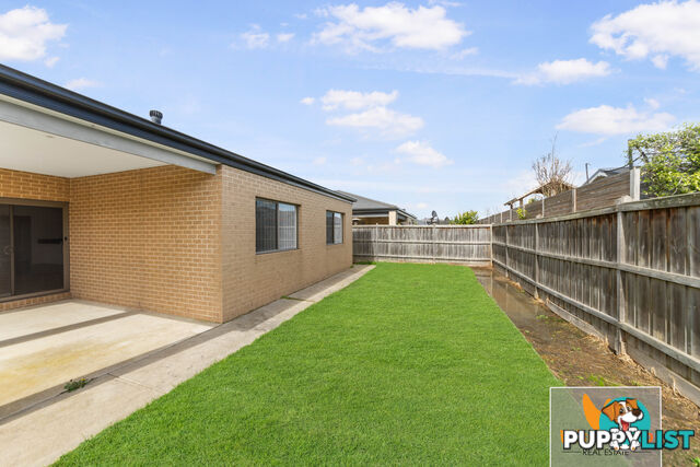 117 Lineham Drive CRANBOURNE EAST VIC 3977