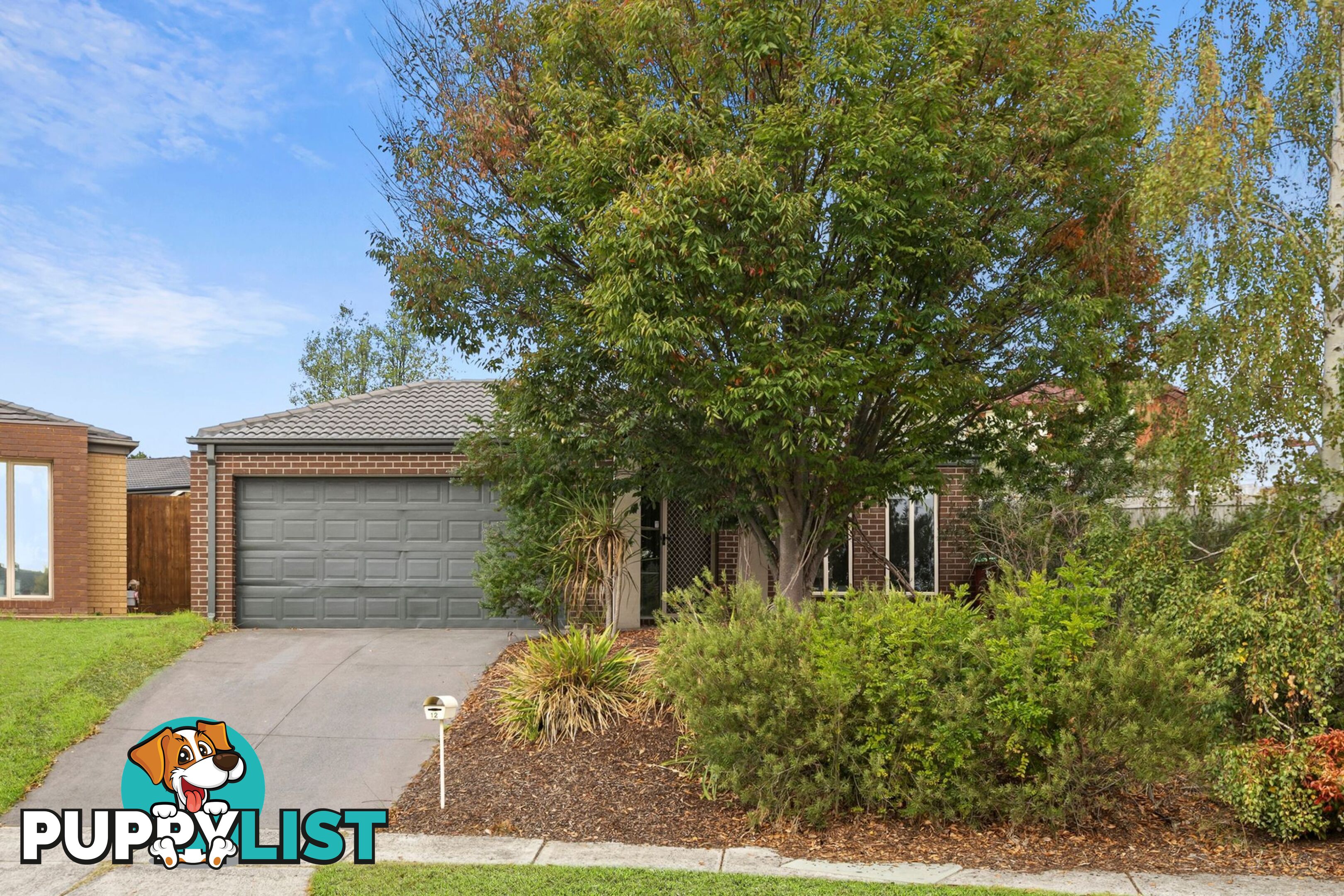 12 Sing Crescent BERWICK VIC 3806