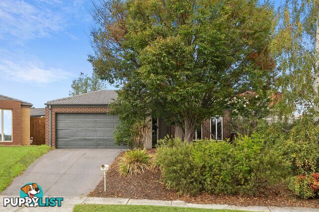 12 Sing Crescent BERWICK VIC 3806