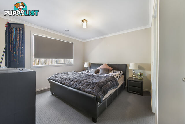 43 Arlington Avenue PAKENHAM VIC 3810