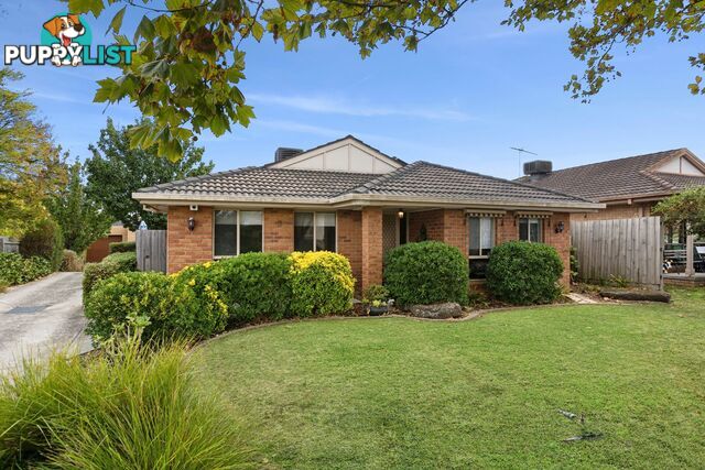 1 3 Ellenvale Drive NARRE WARREN VIC 3805