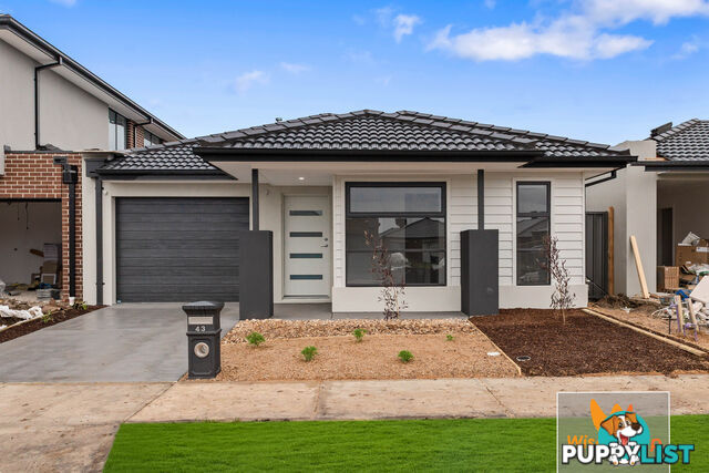 43 Viola Circuit CLYDE VIC 3978