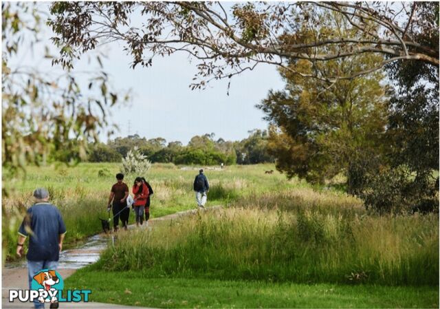 17 183 - 185 Pound Road HAMPTON PARK VIC 3976