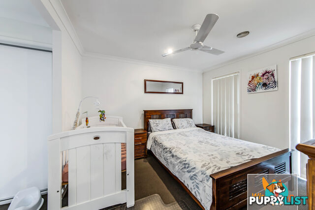 10 Tia Street CLYDE NORTH VIC 3978
