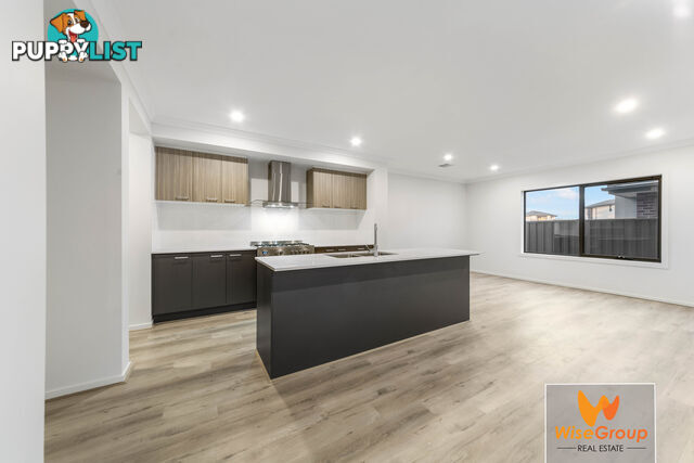 8 Indio Lane BERWICK VIC 3806