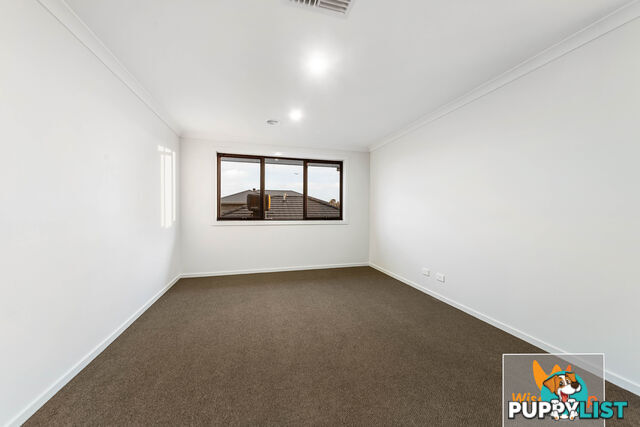 8 Indio Lane BERWICK VIC 3806