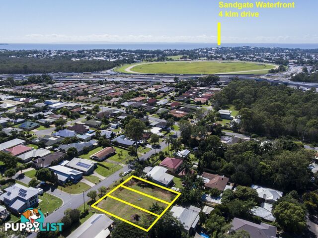 41 Sheaffe Street BRACKEN RIDGE QLD 4017