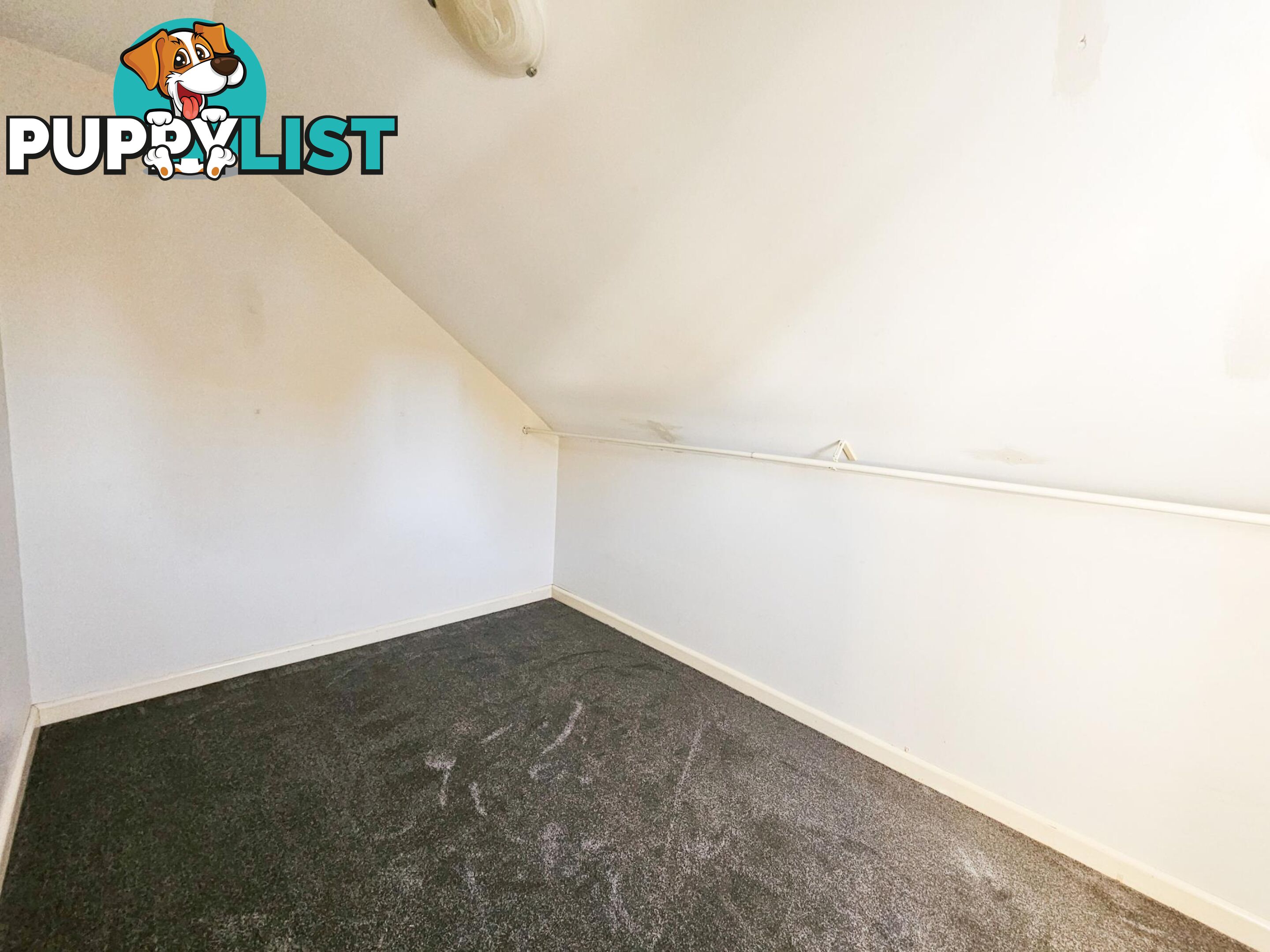 2/29 Claremont Street CAMPSIE NSW 2194