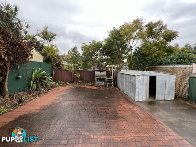 22 Elizabeth Street CAMPSIE NSW 2194