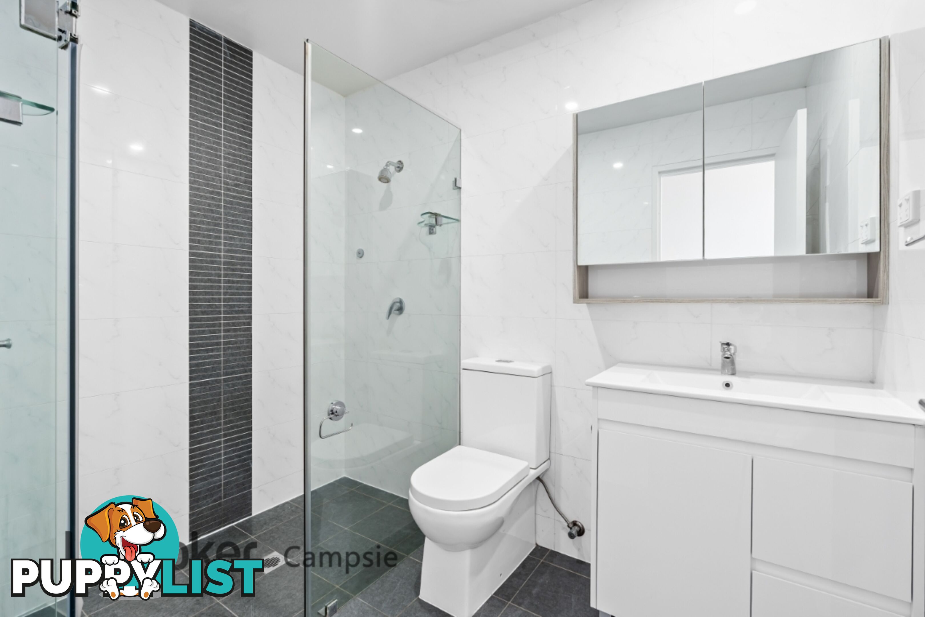 303/363 Beamish Street CAMPSIE NSW 2194