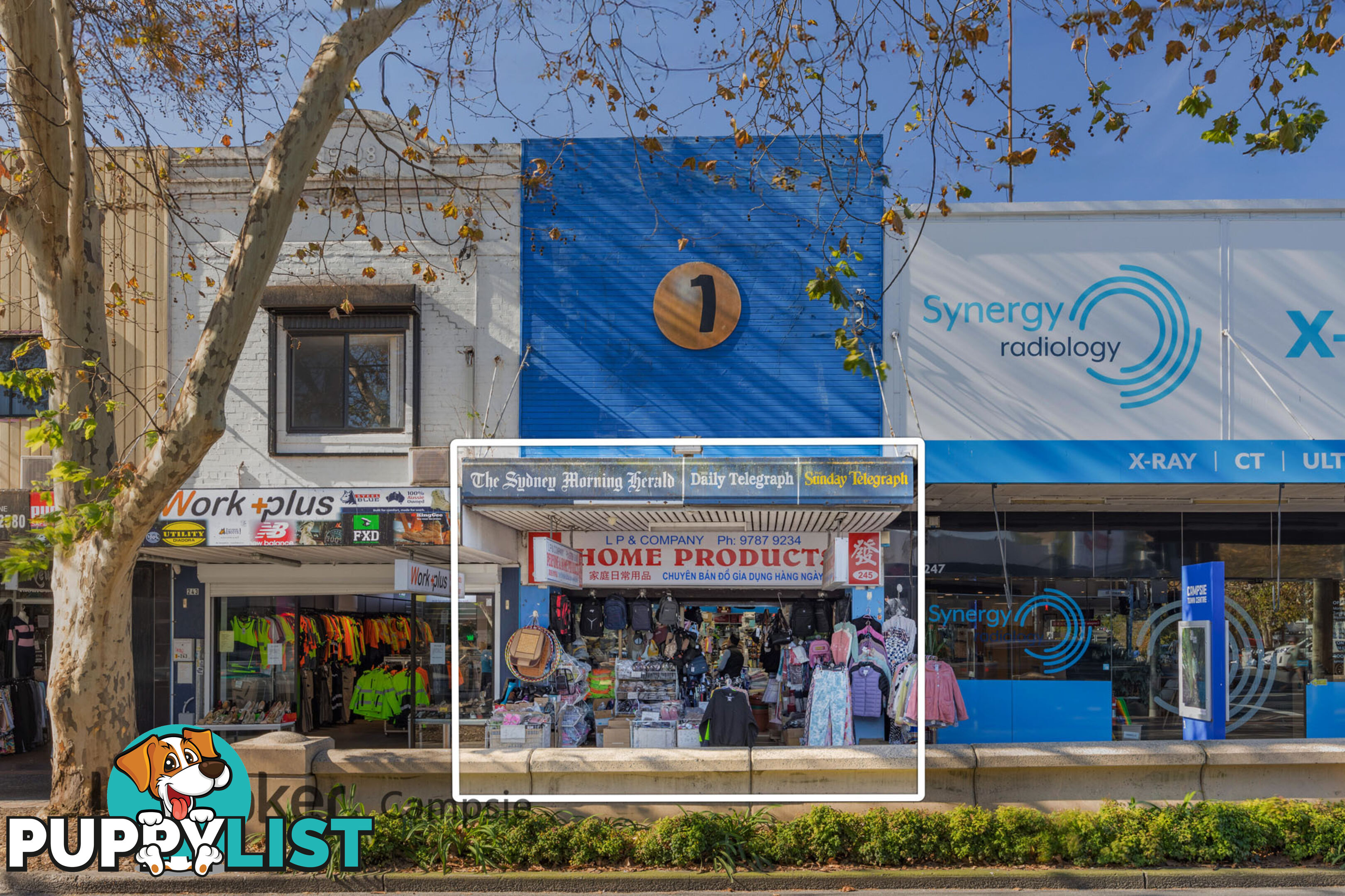 245 Beamish Street CAMPSIE NSW 2194