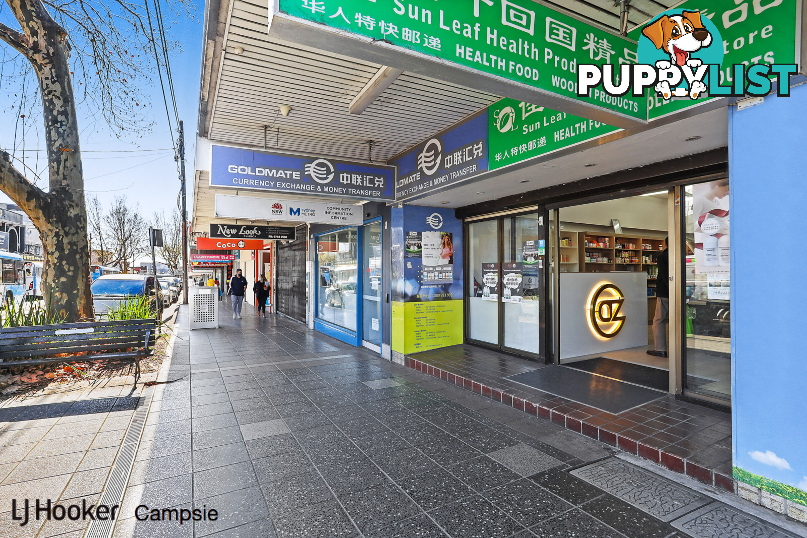 245 Beamish Street CAMPSIE NSW 2194