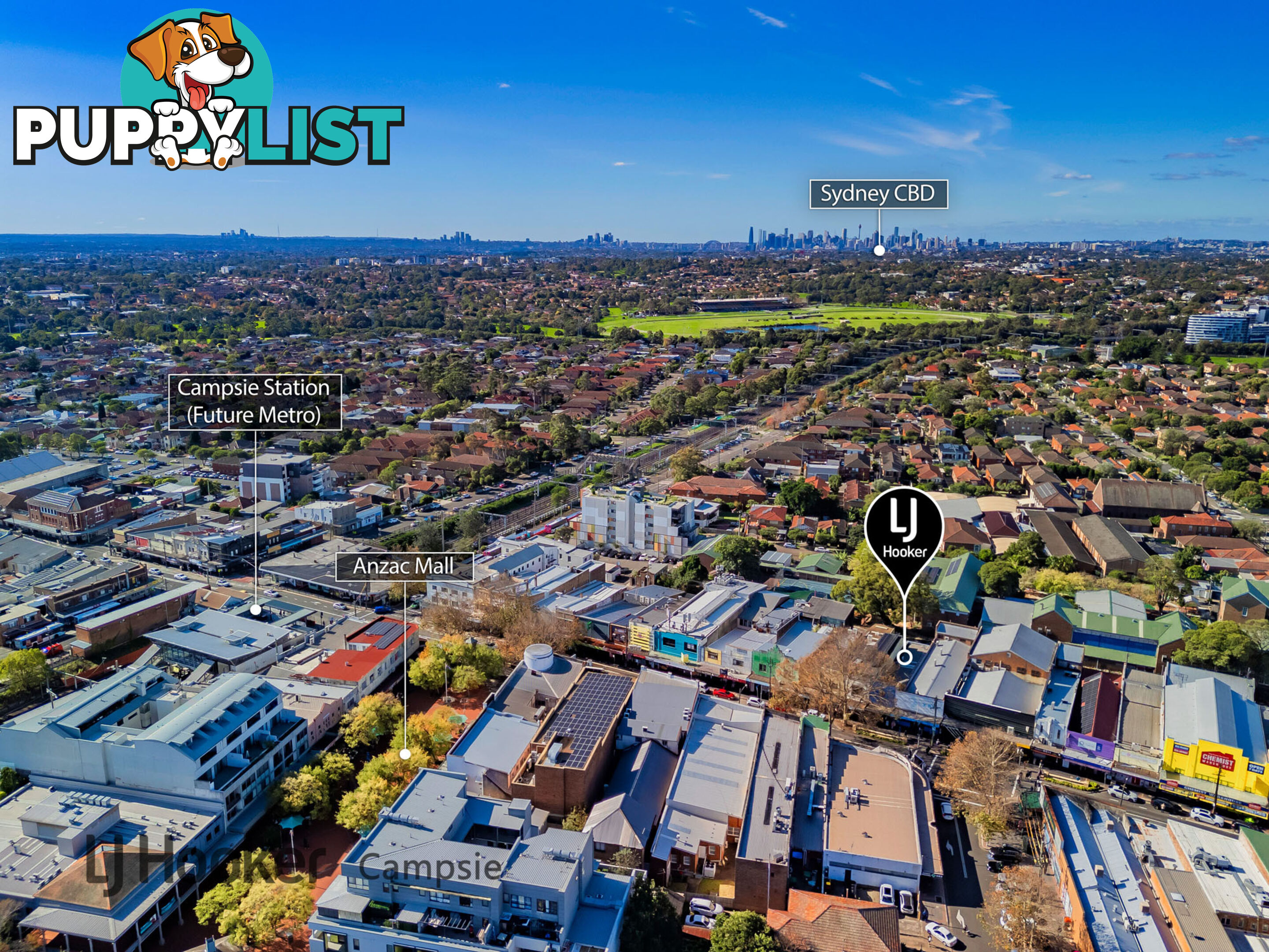 245 Beamish Street CAMPSIE NSW 2194
