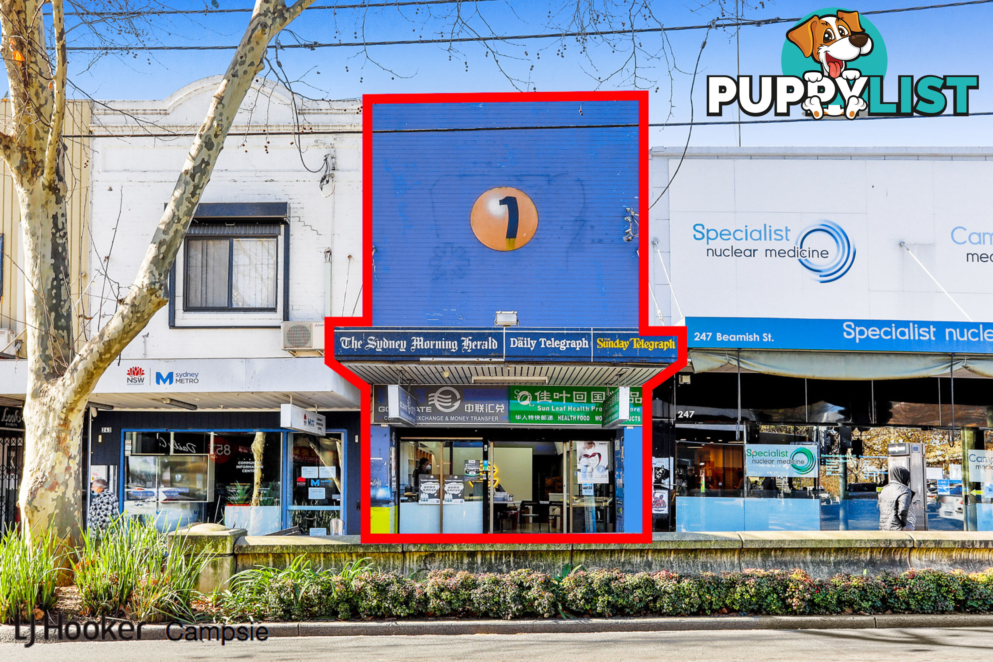 245 Beamish Street CAMPSIE NSW 2194
