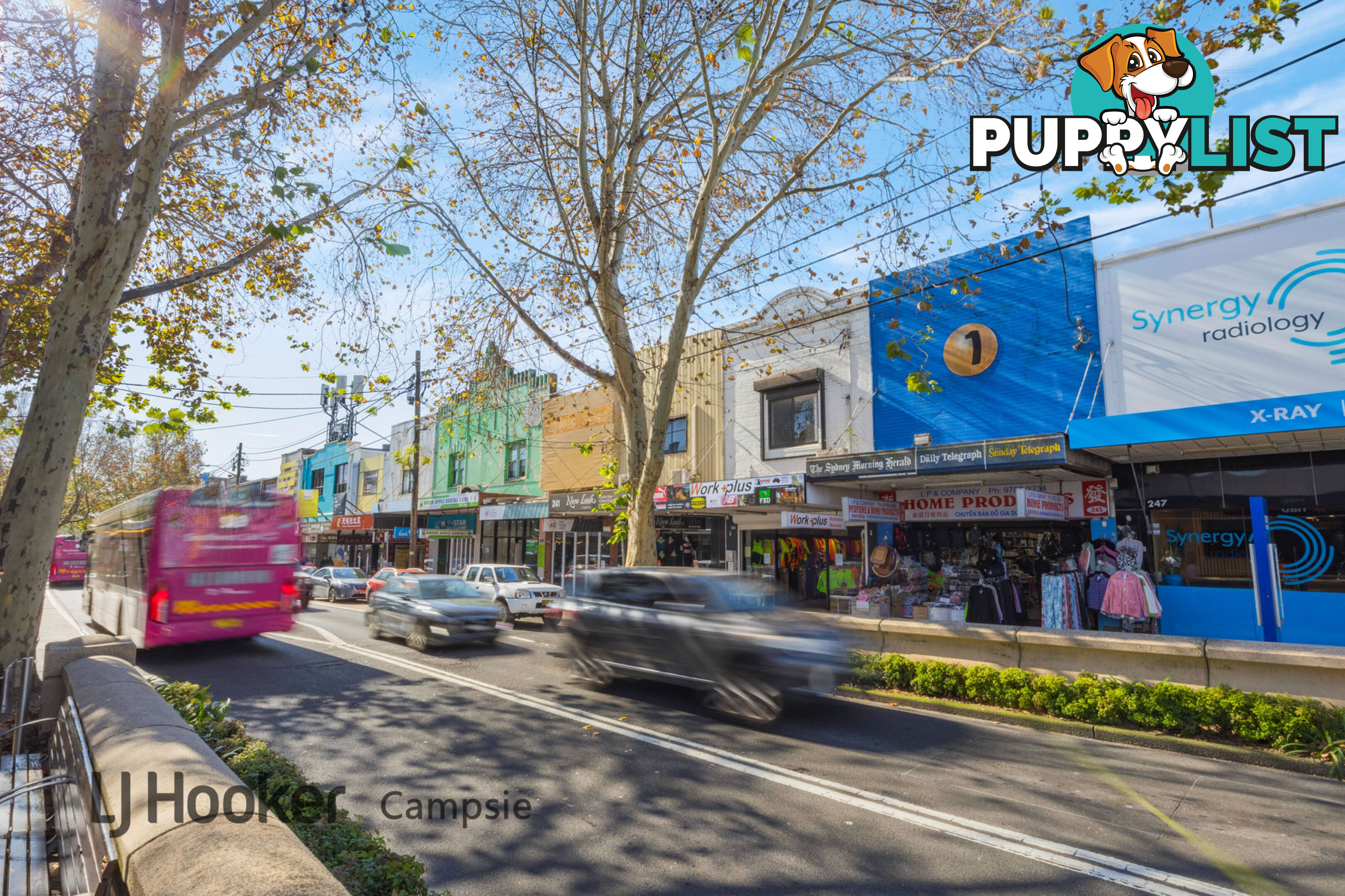 245 Beamish Street CAMPSIE NSW 2194