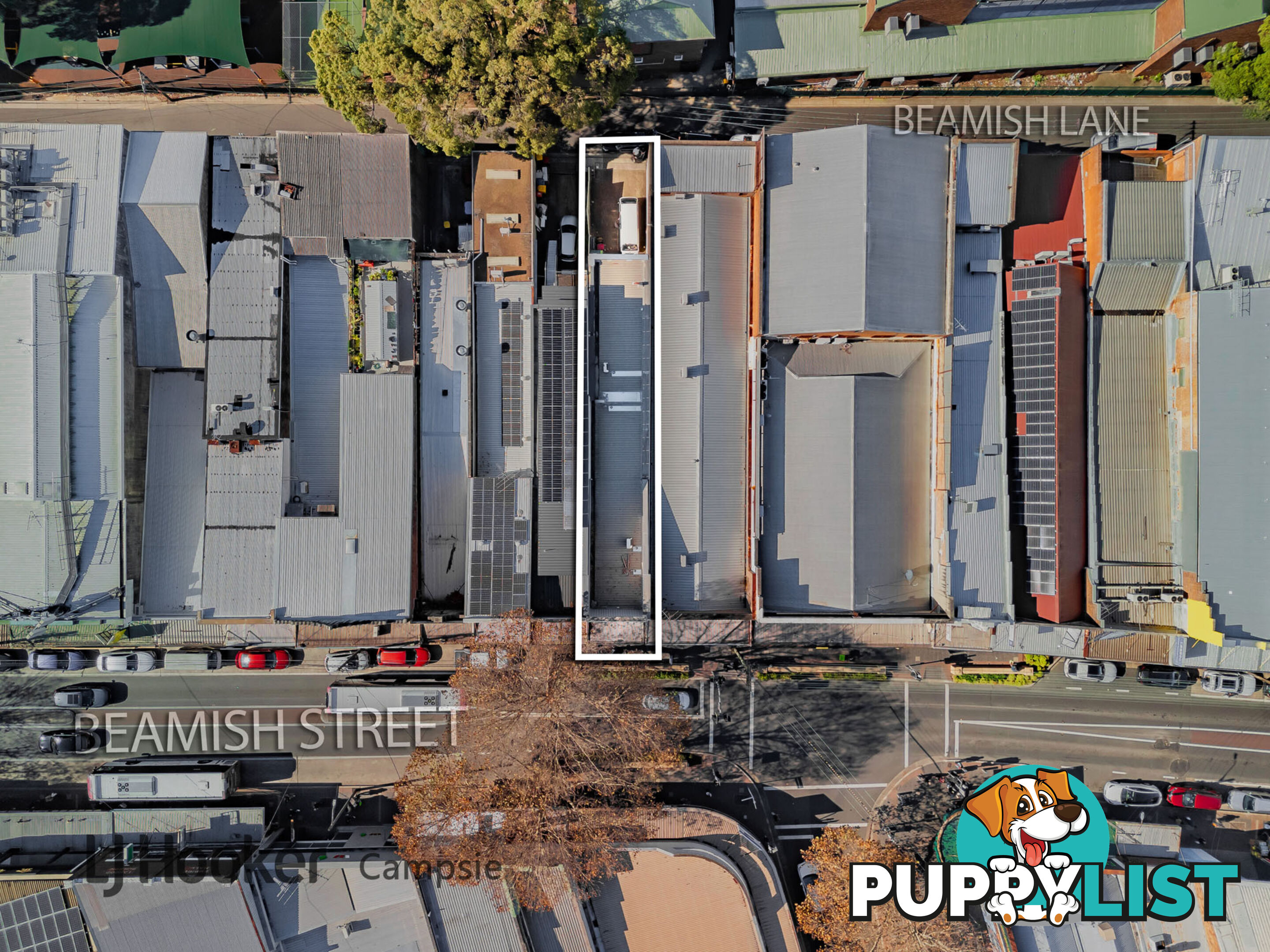 245 Beamish Street CAMPSIE NSW 2194