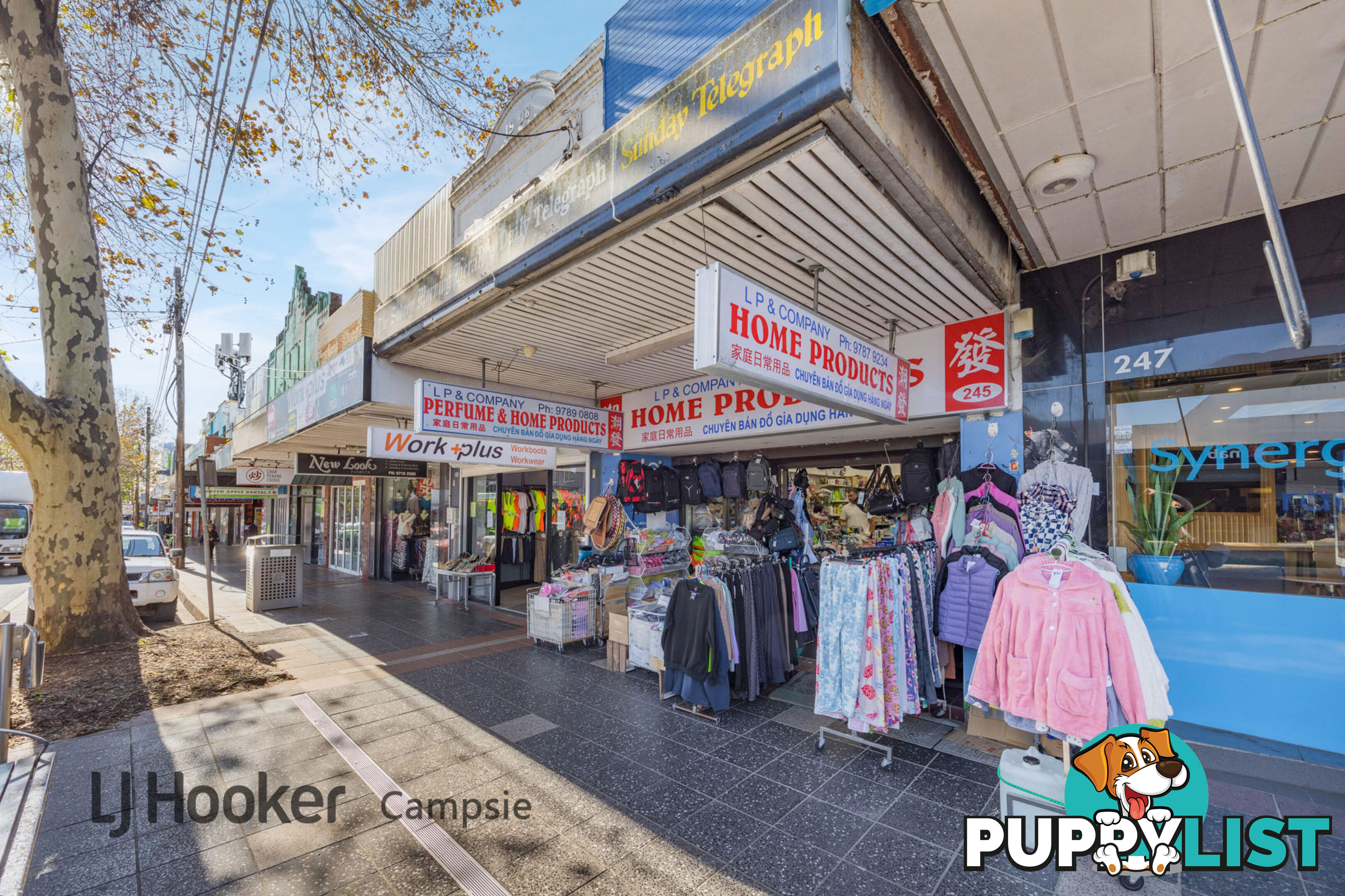 245 Beamish Street CAMPSIE NSW 2194