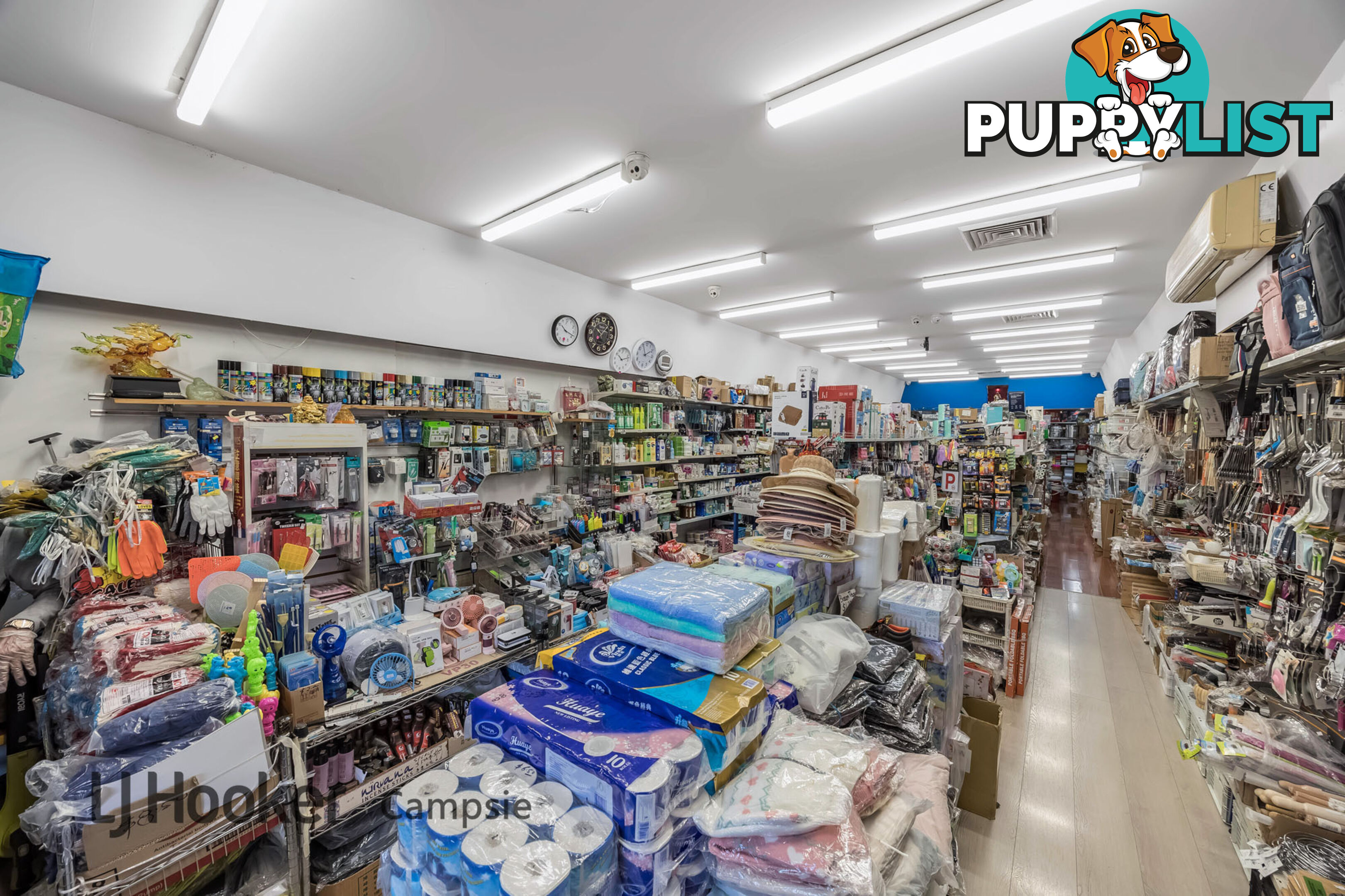 245 Beamish Street CAMPSIE NSW 2194