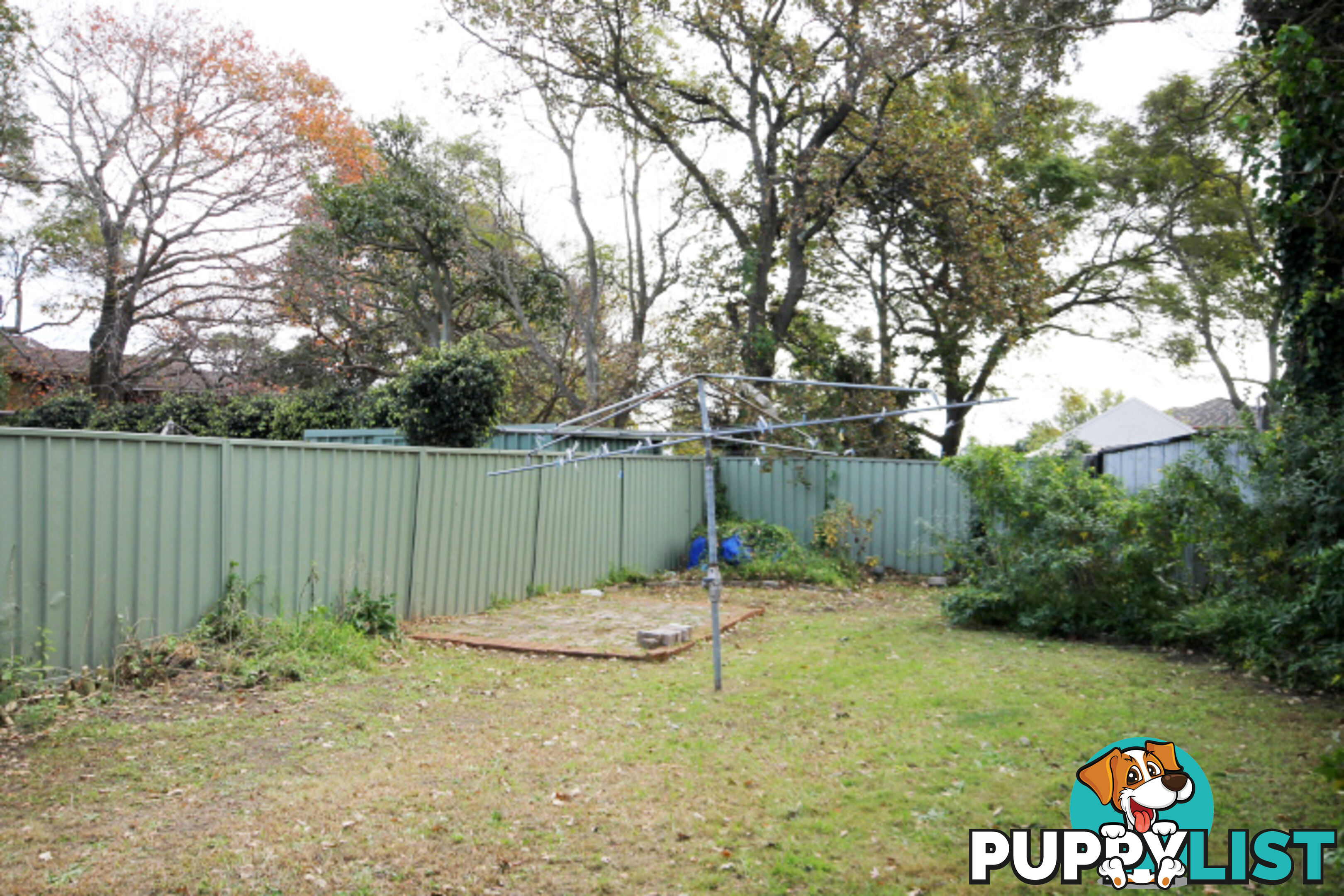 61 Claremont Street CAMPSIE NSW 2194