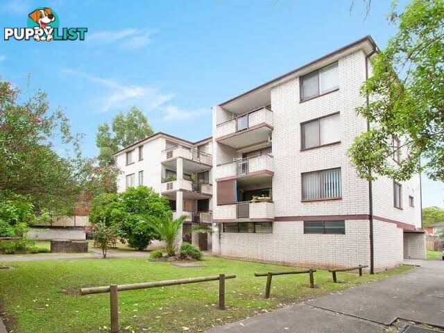 3/60-64 Second Avenue CAMPSIE NSW 2194