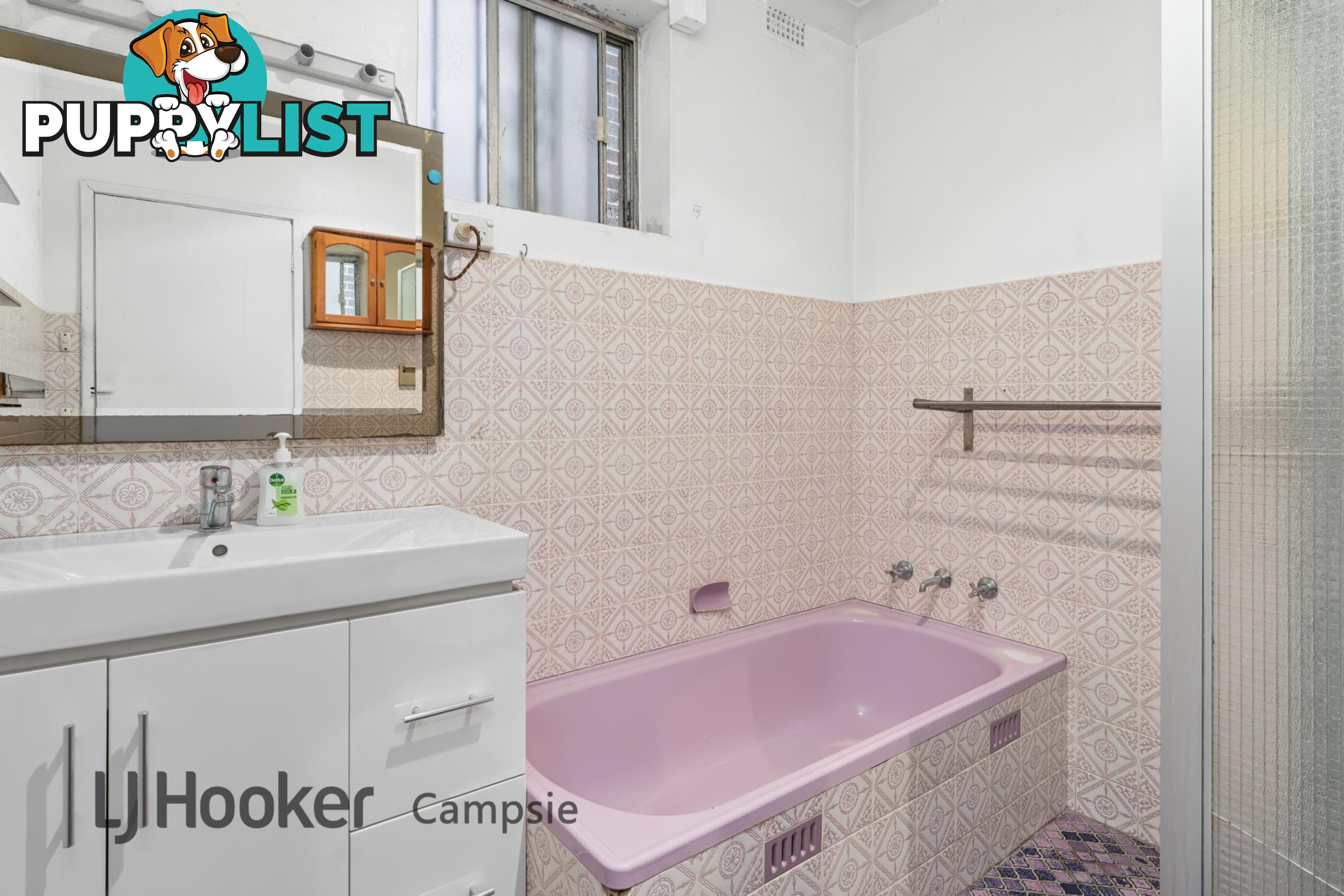 28 Cross Street CAMPSIE NSW 2194
