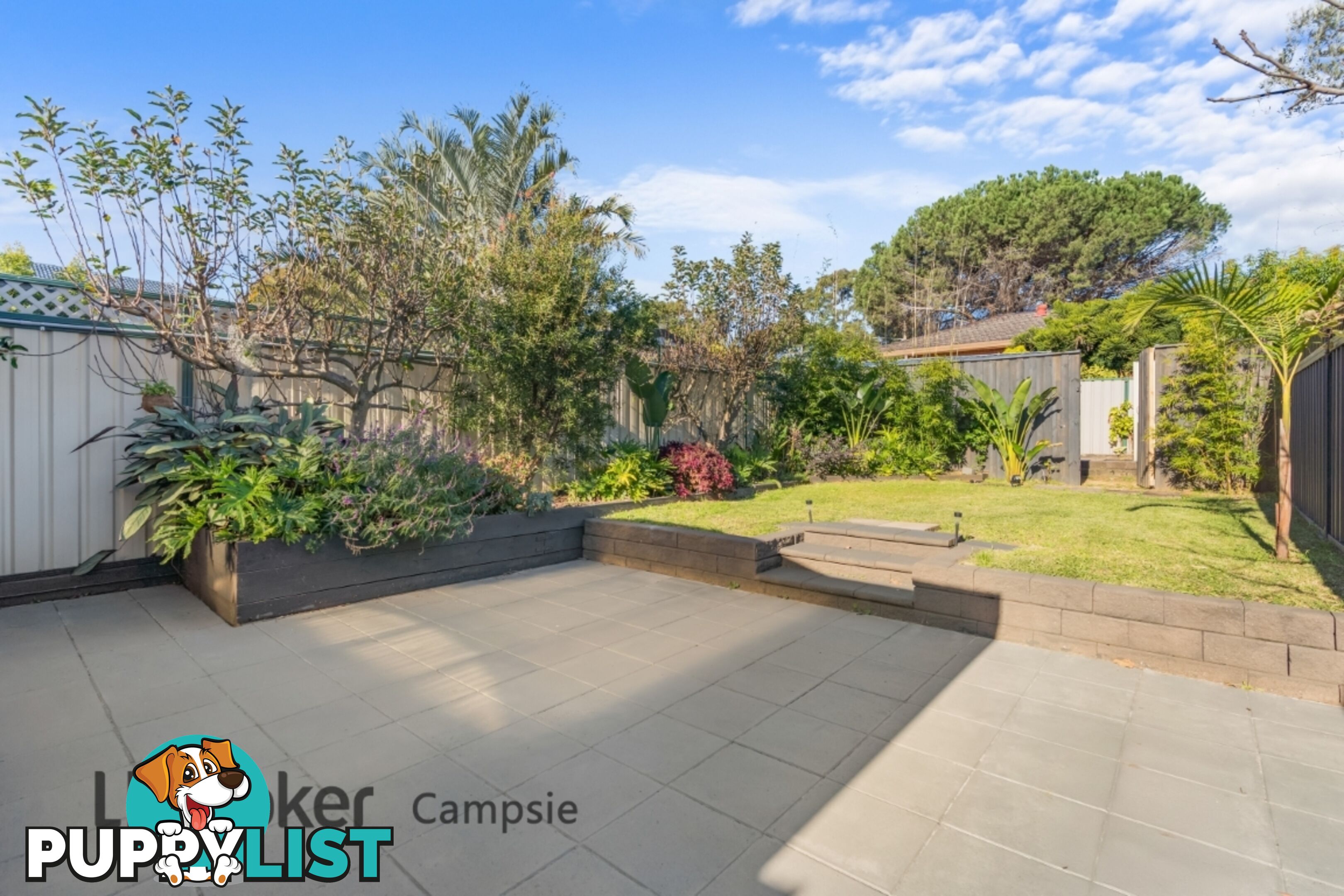 86 Campsie Street CAMPSIE NSW 2194