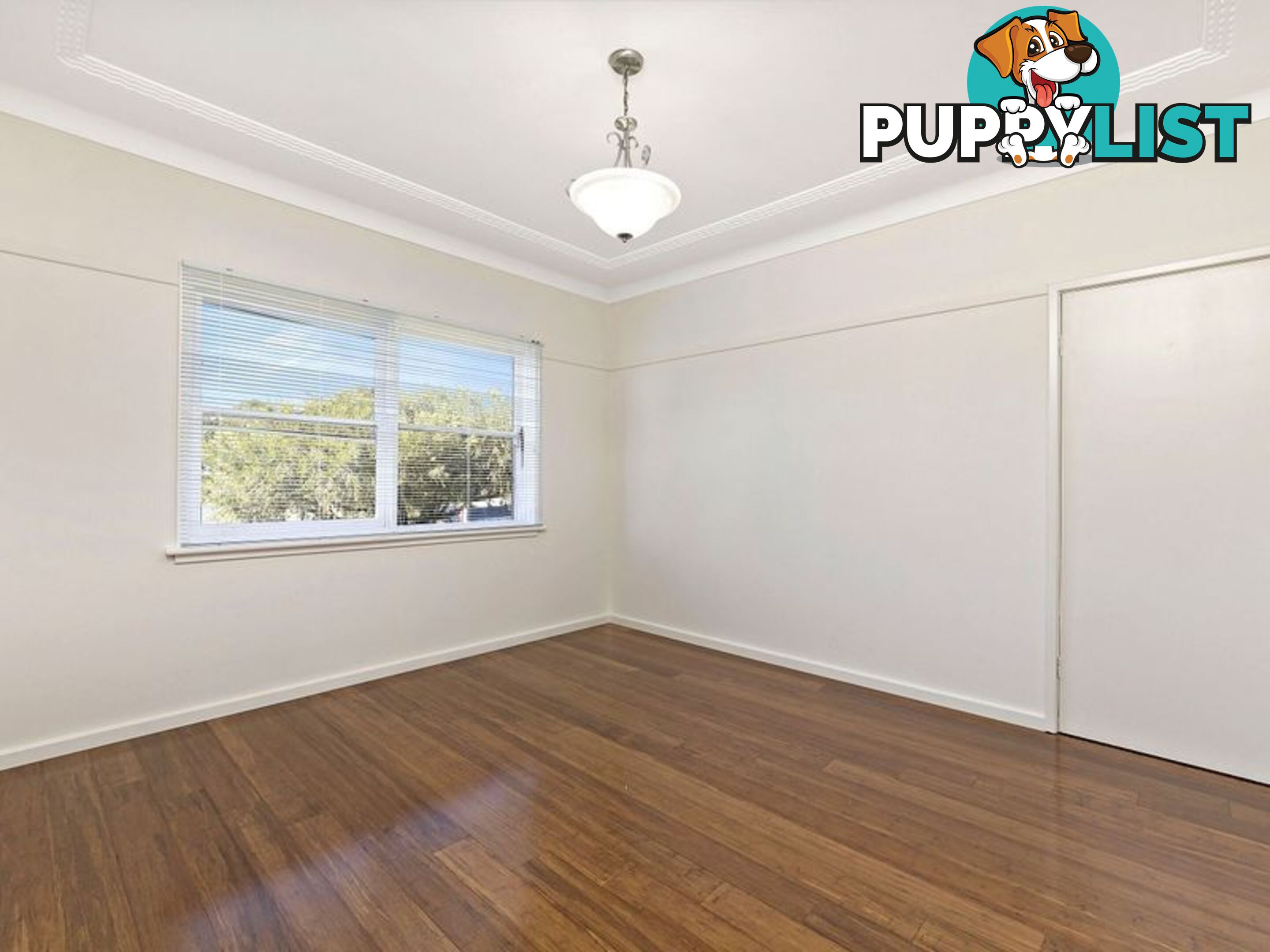 39 Proctor Ave KINGSGROVE NSW 2208