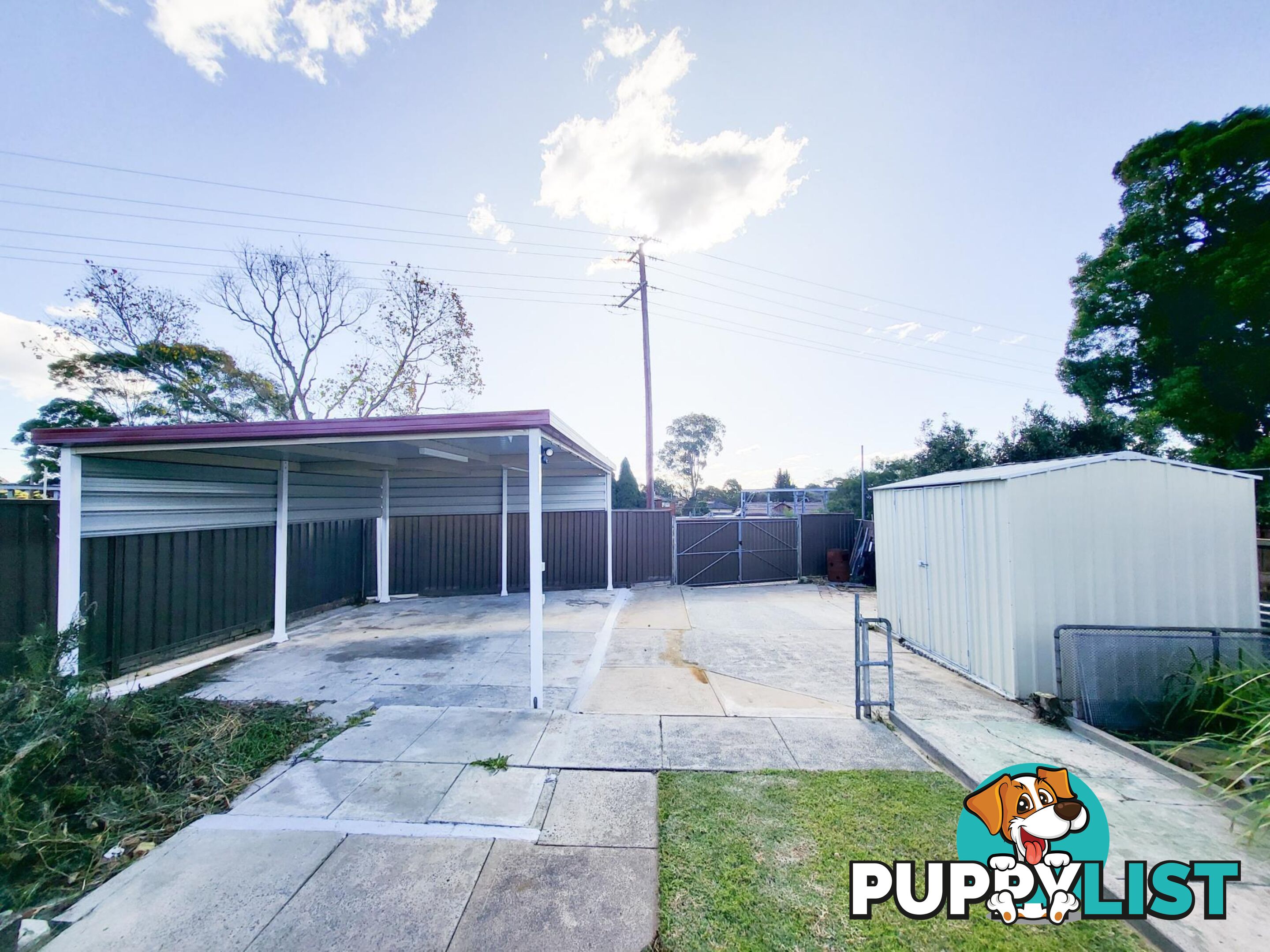 75 Anglo Road CAMPSIE NSW 2194