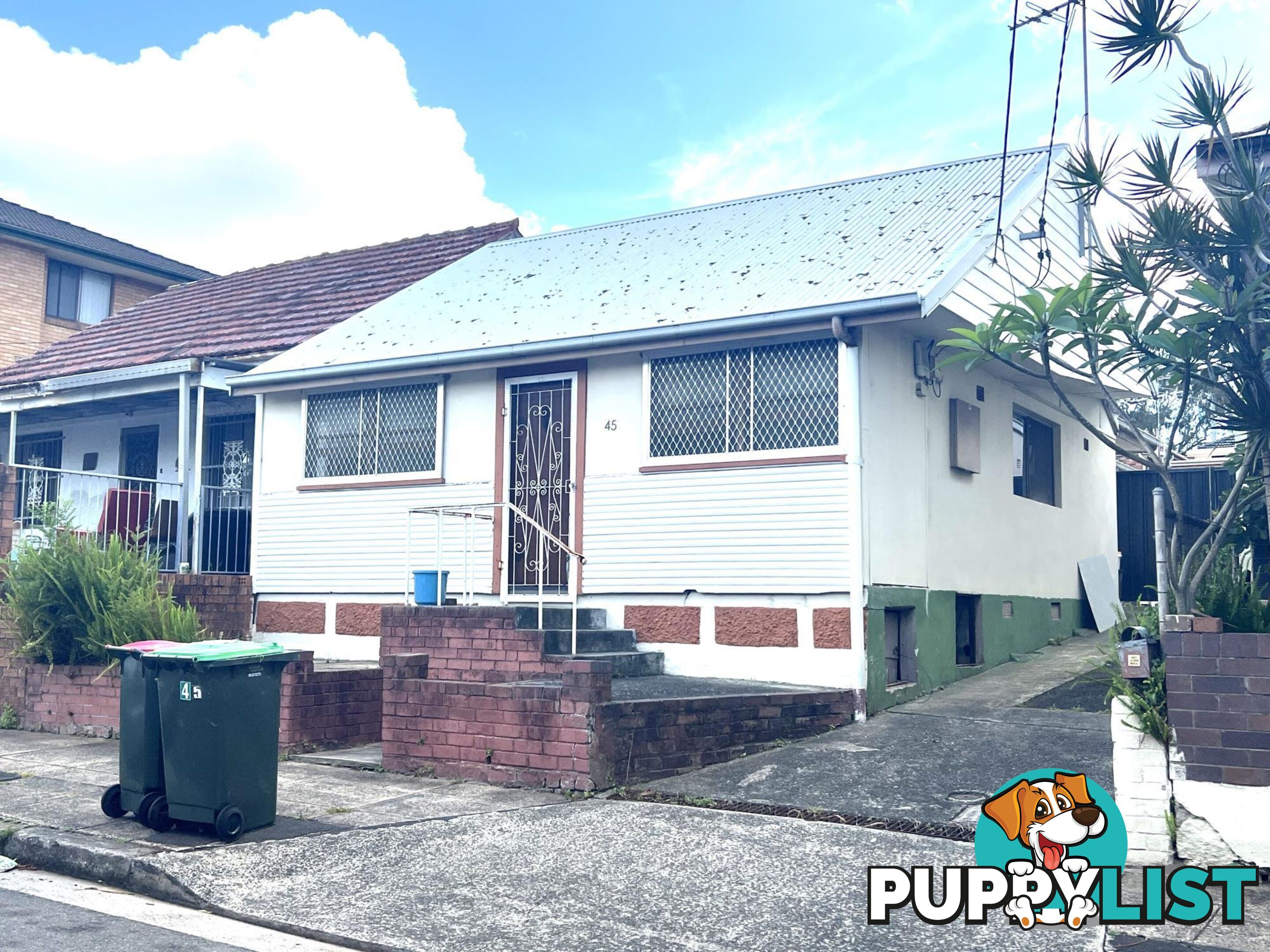 45 Arthur Street MARRICKVILLE NSW 2204