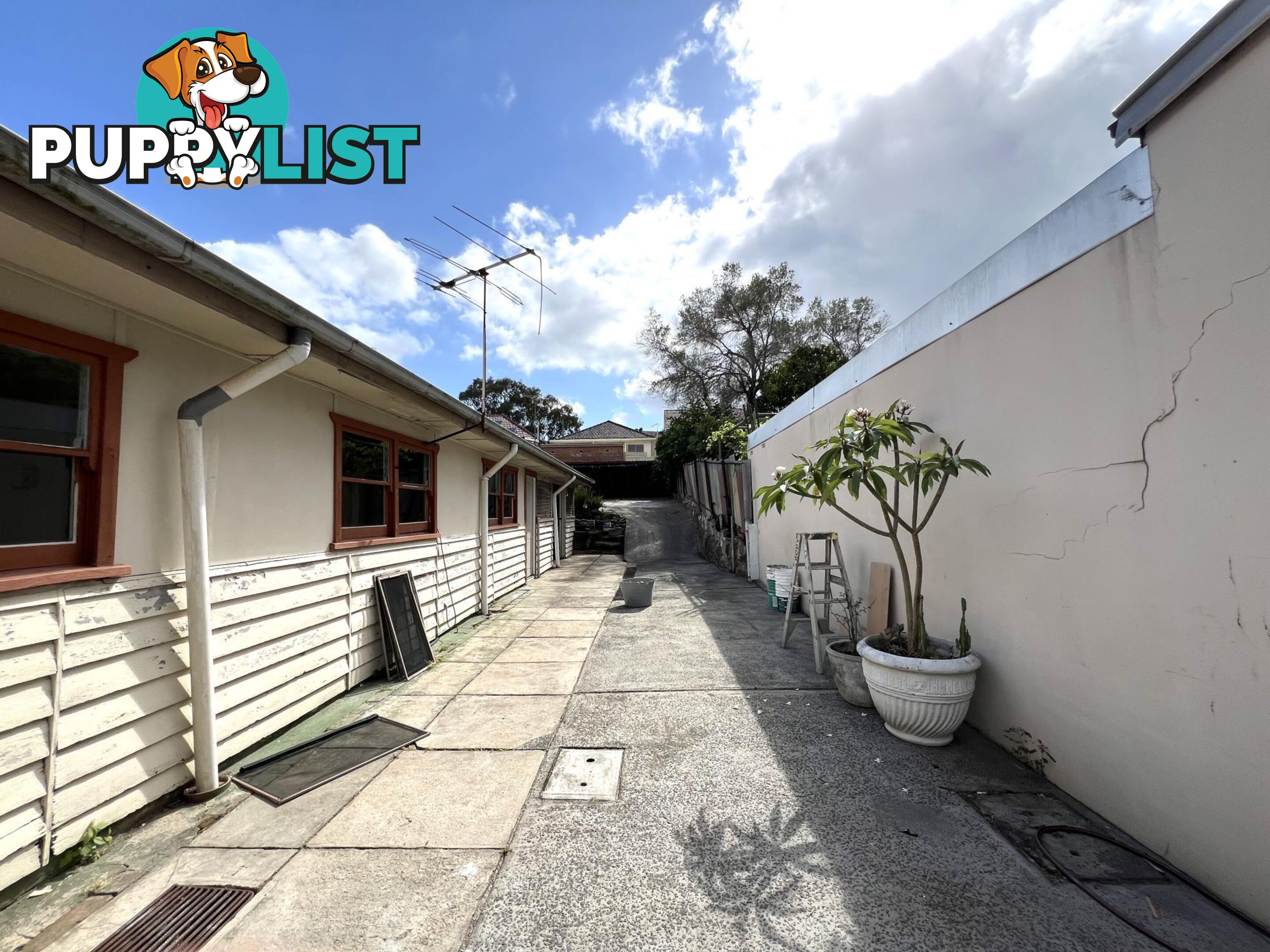 45 Arthur Street MARRICKVILLE NSW 2204