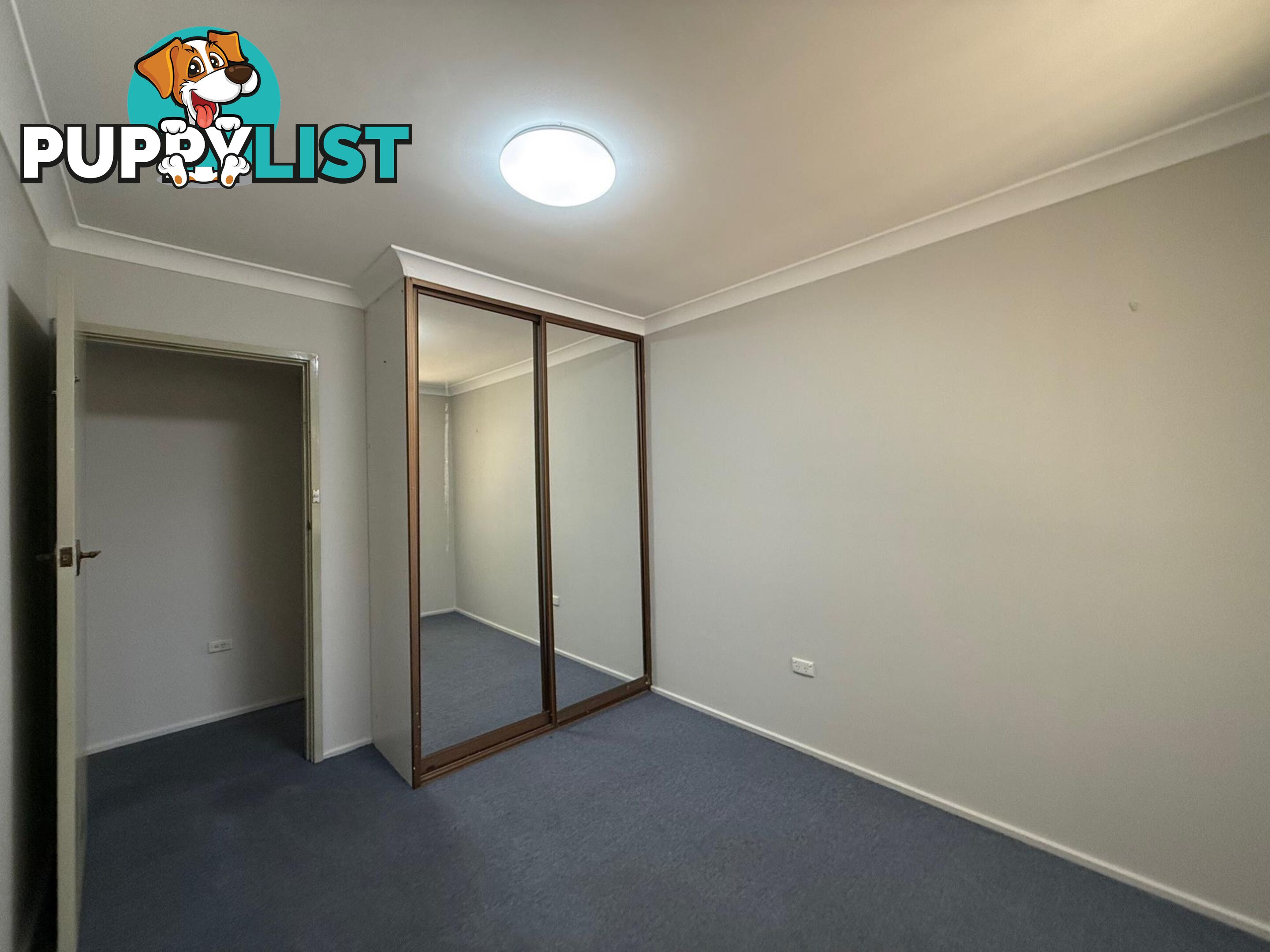 1/2 First Avenue CAMPSIE NSW 2194