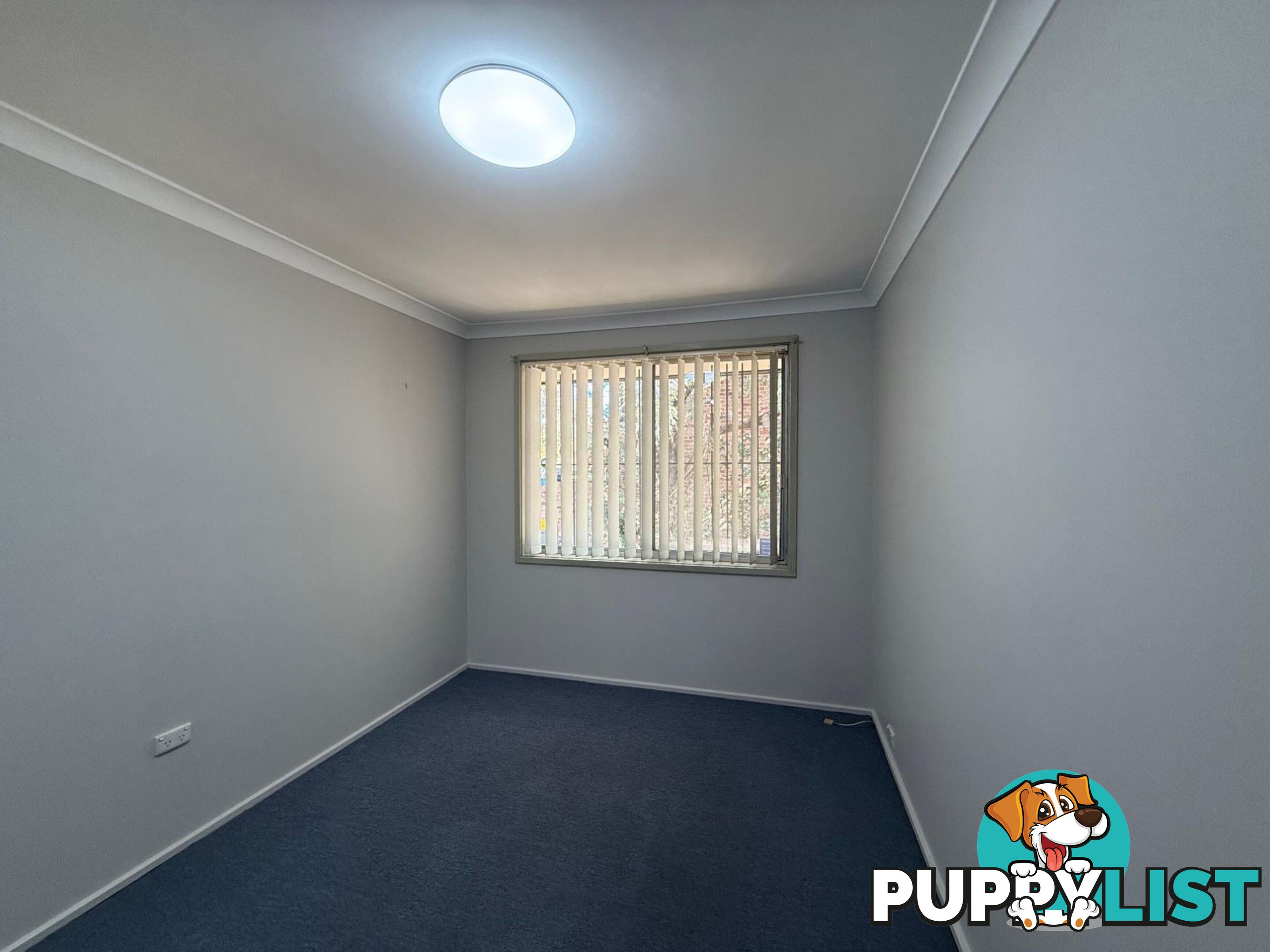 1/2 First Avenue CAMPSIE NSW 2194