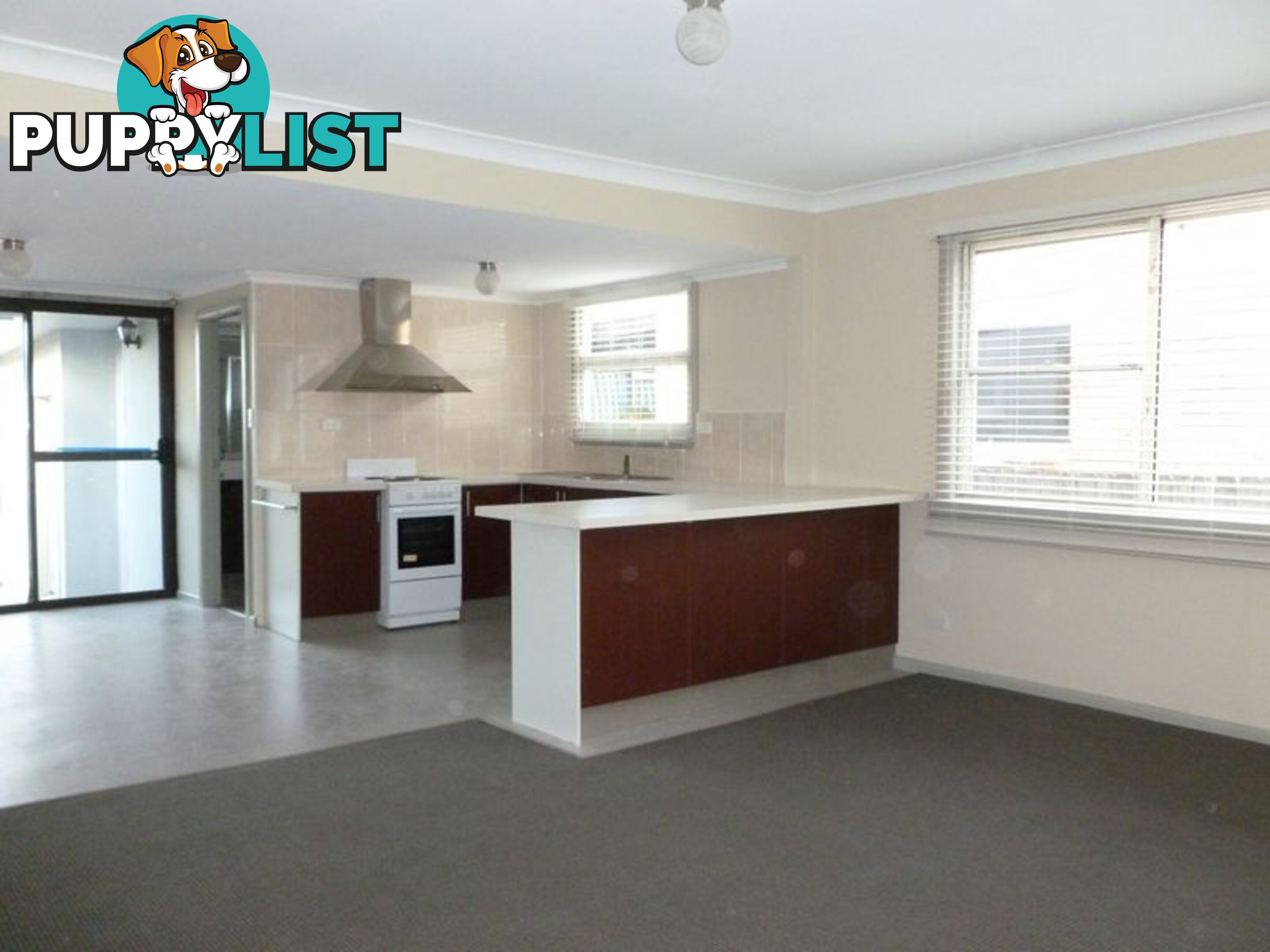 58 Moore Street CAMPSIE NSW 2194