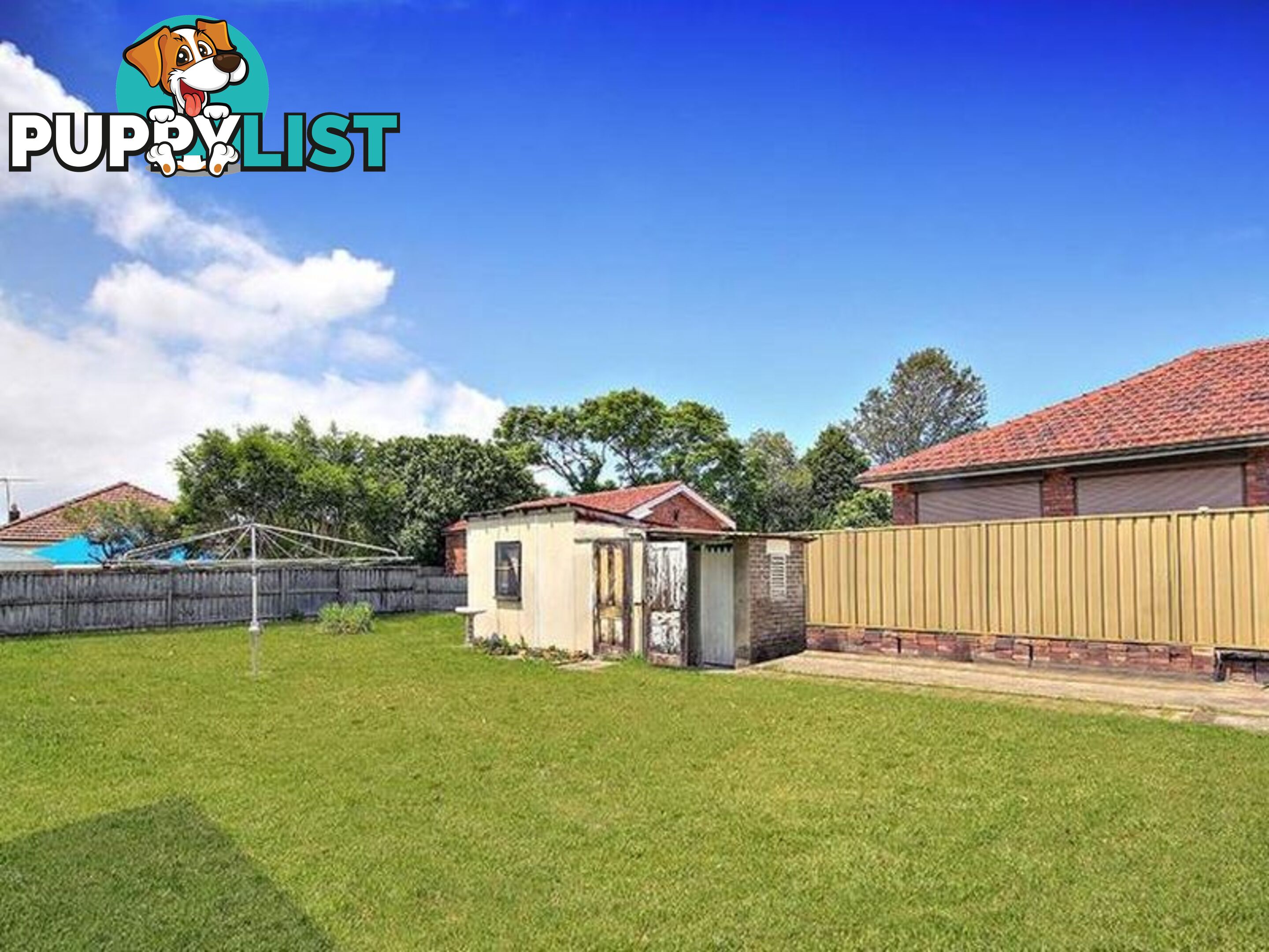 6 Dryden Street CAMPSIE NSW 2194