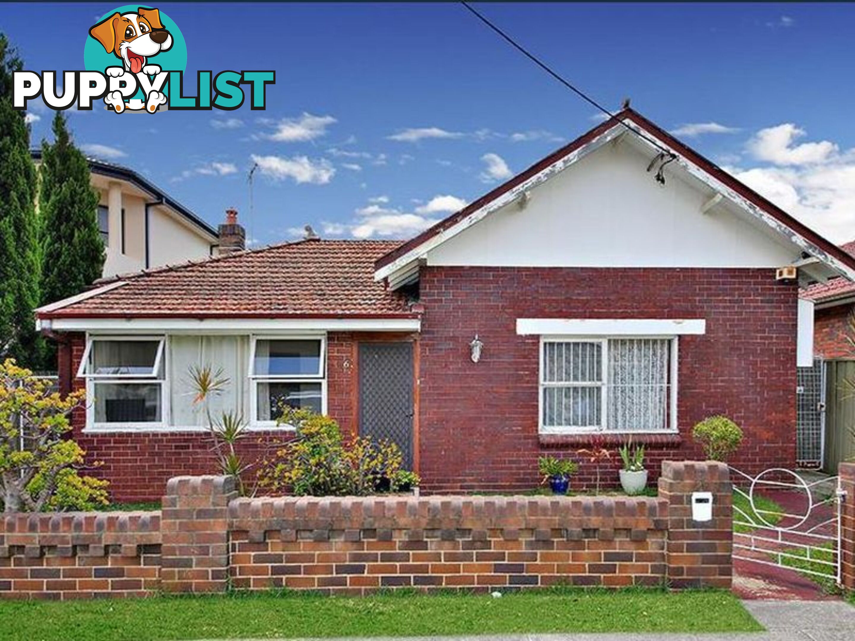 6 Dryden Street CAMPSIE NSW 2194