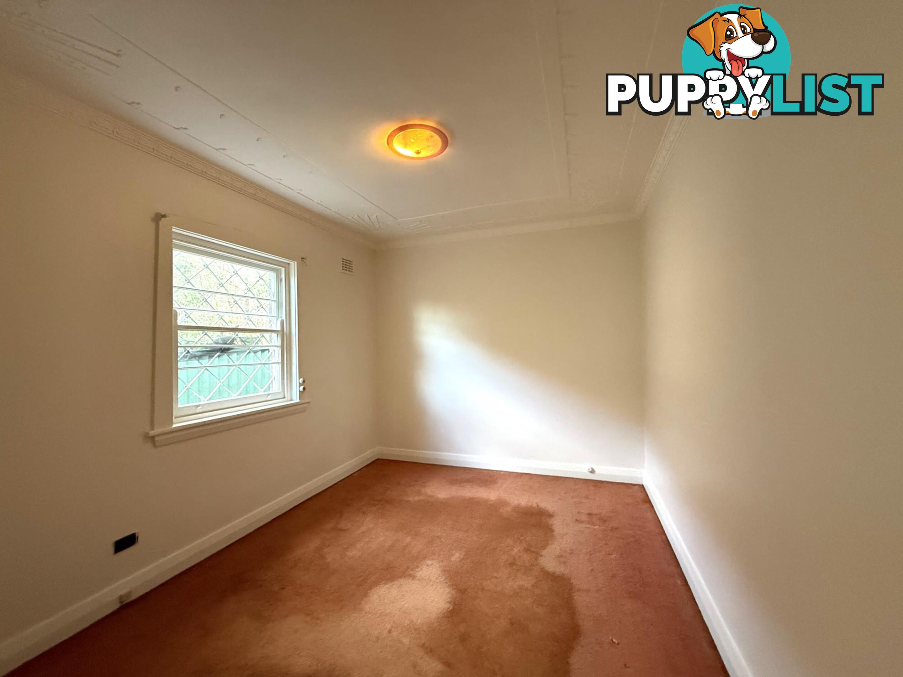 9 Nicholas Avenue CAMPSIE NSW 2194