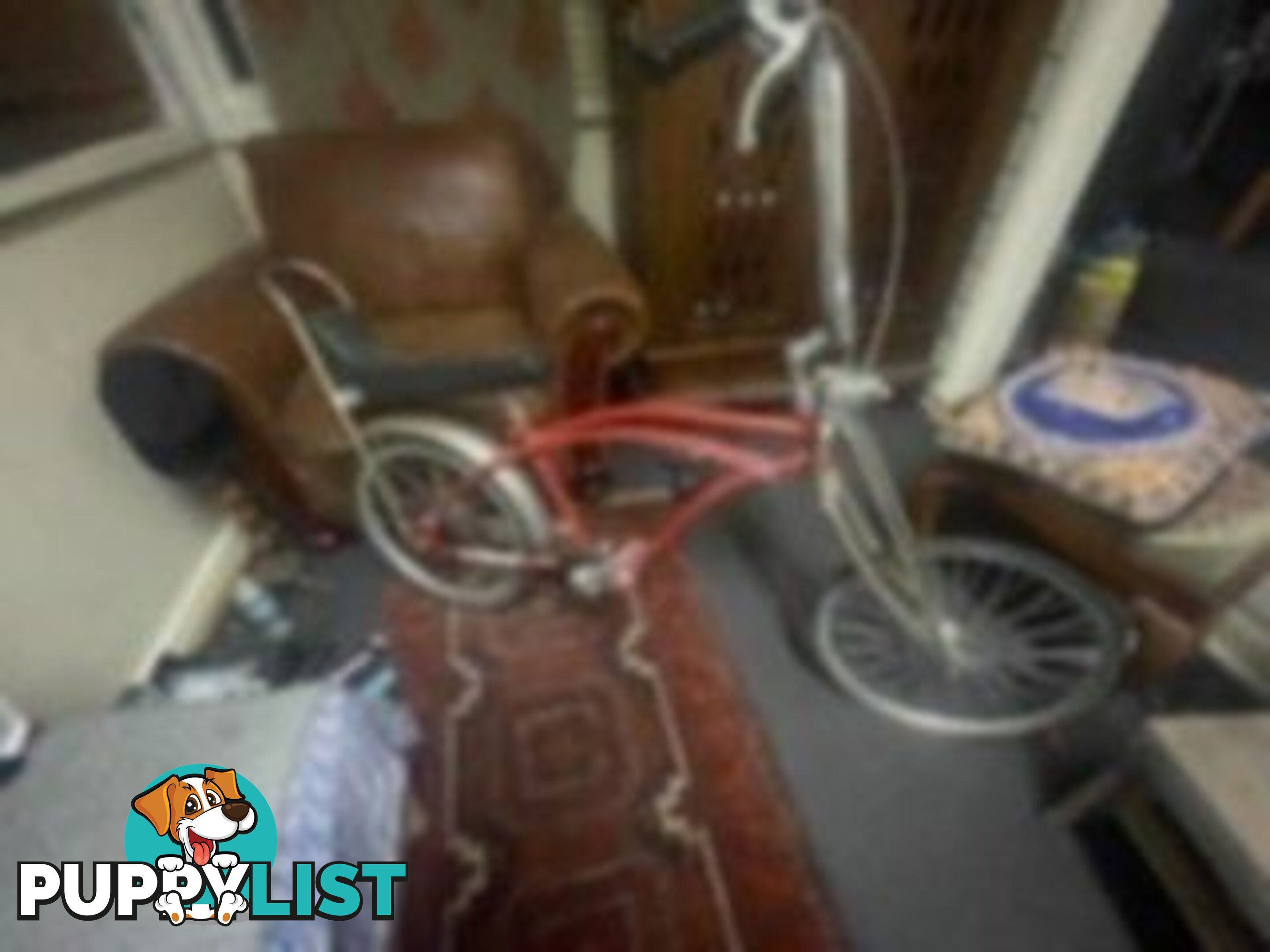 Vintage Dragster bike forsale