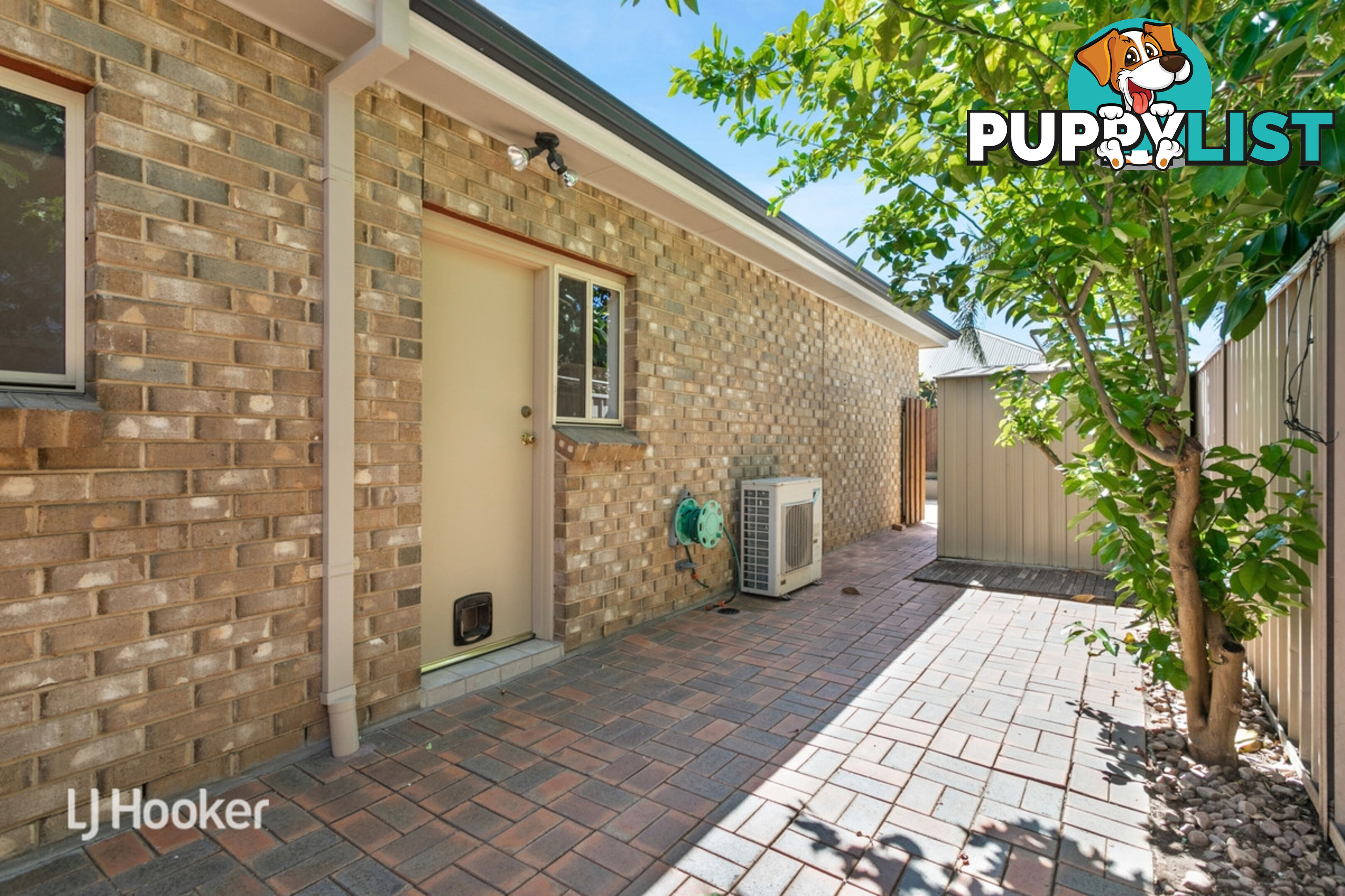 64 Fisher Place MILE END SA 5031