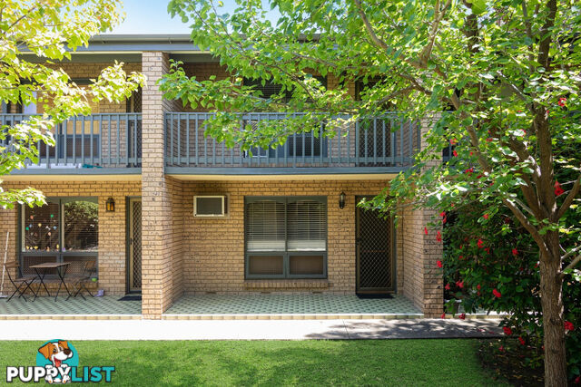 4/91 Queen Street NORWOOD SA 5067