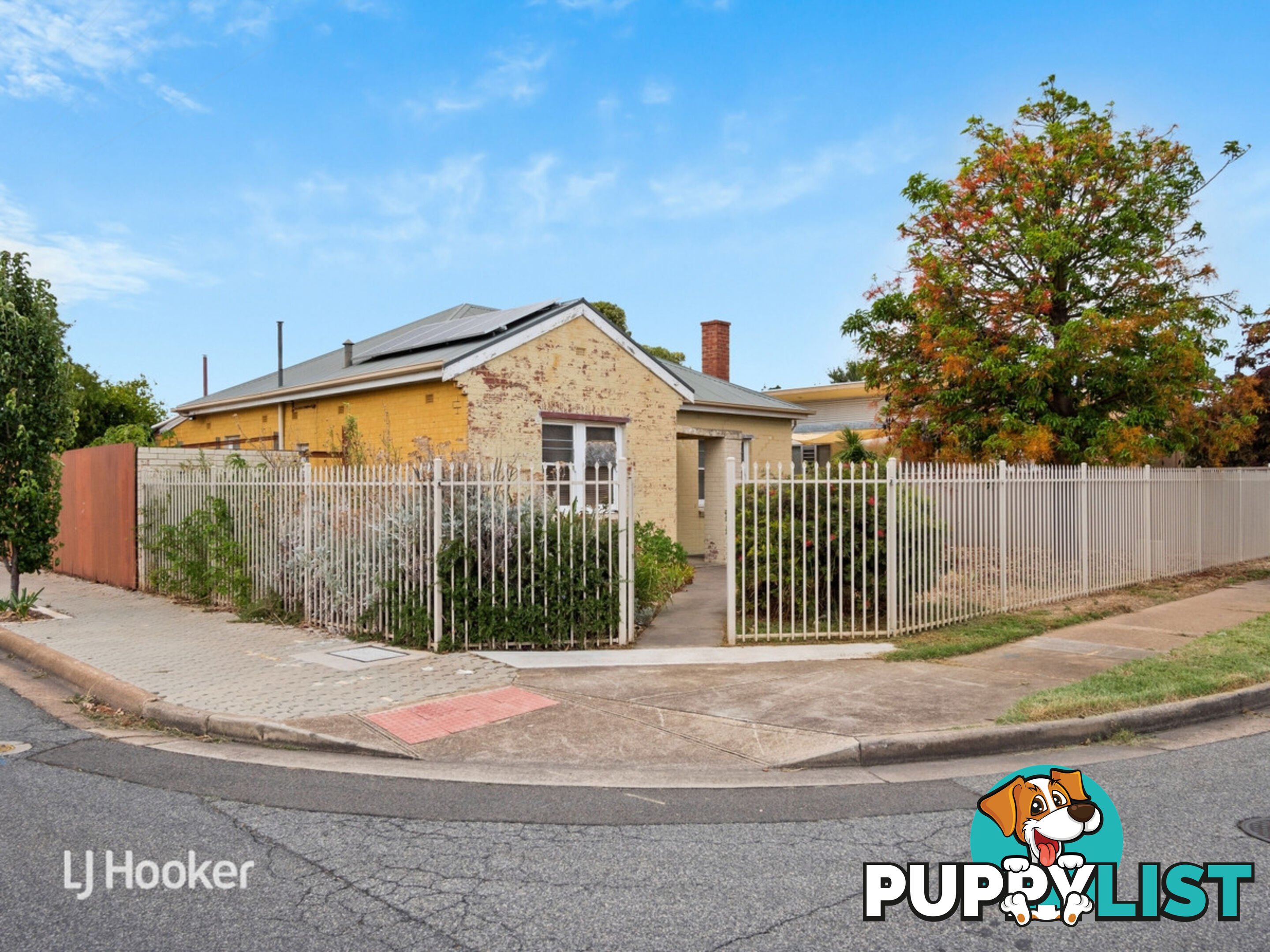 1 Golding Street BEVERLEY SA 5009